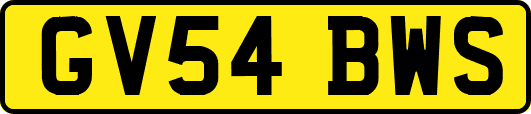 GV54BWS