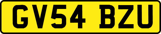 GV54BZU