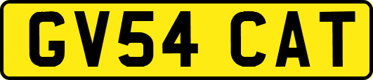 GV54CAT