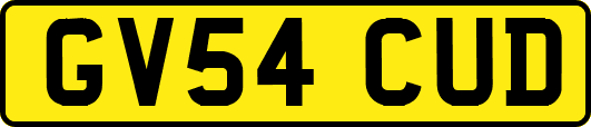 GV54CUD