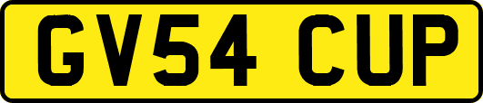 GV54CUP