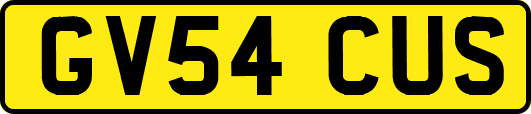 GV54CUS
