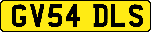 GV54DLS