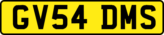 GV54DMS