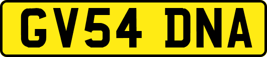 GV54DNA