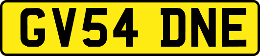 GV54DNE
