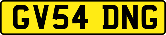GV54DNG