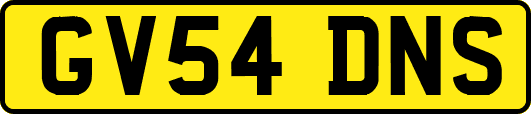 GV54DNS