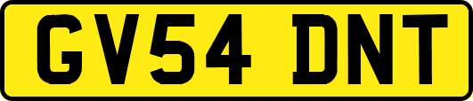 GV54DNT