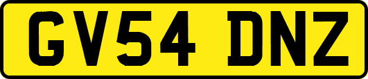 GV54DNZ
