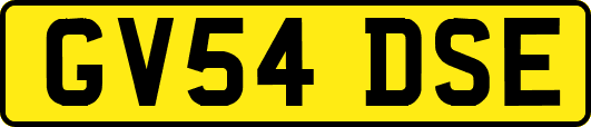 GV54DSE