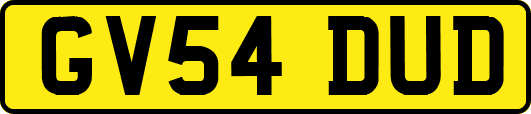 GV54DUD