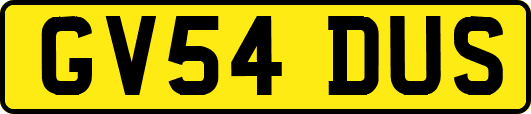 GV54DUS