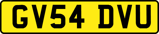 GV54DVU