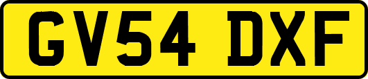 GV54DXF