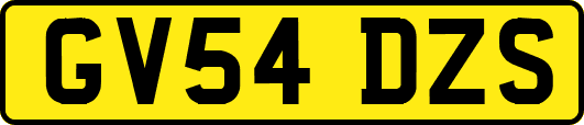 GV54DZS