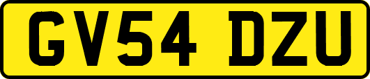 GV54DZU