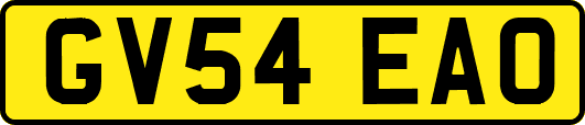 GV54EAO