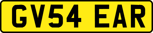 GV54EAR