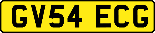 GV54ECG