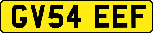 GV54EEF
