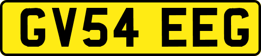 GV54EEG