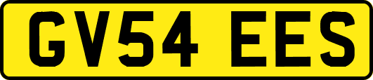 GV54EES