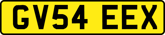 GV54EEX