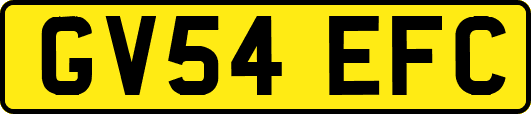 GV54EFC