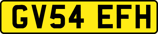 GV54EFH