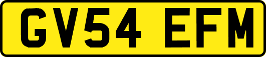 GV54EFM