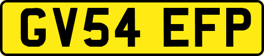 GV54EFP