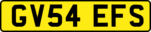 GV54EFS