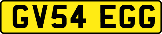 GV54EGG