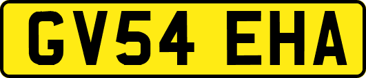 GV54EHA