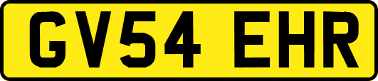 GV54EHR
