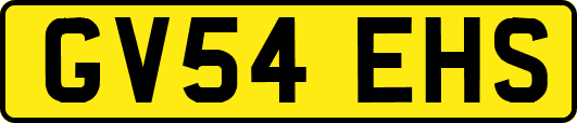 GV54EHS