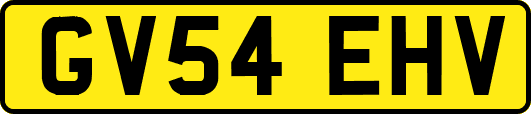 GV54EHV