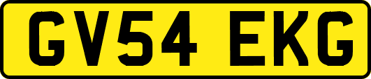 GV54EKG