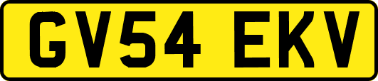 GV54EKV