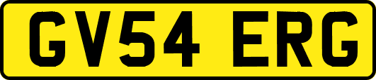 GV54ERG