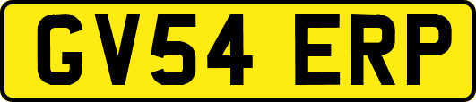 GV54ERP