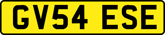 GV54ESE