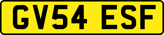 GV54ESF