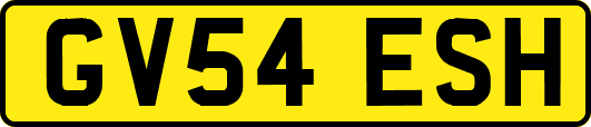 GV54ESH
