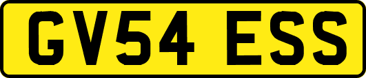GV54ESS