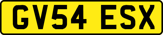 GV54ESX