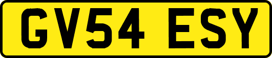 GV54ESY