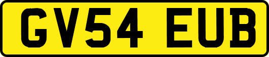 GV54EUB