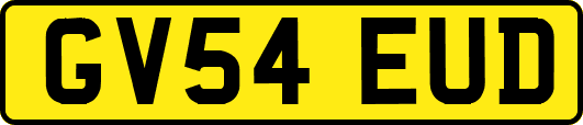 GV54EUD